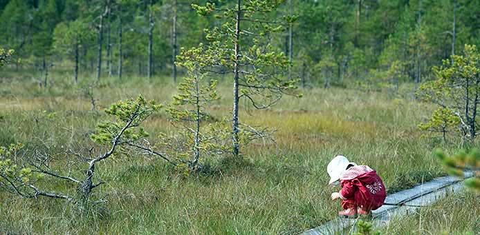 leivonmäki kansallispuisto naturapark