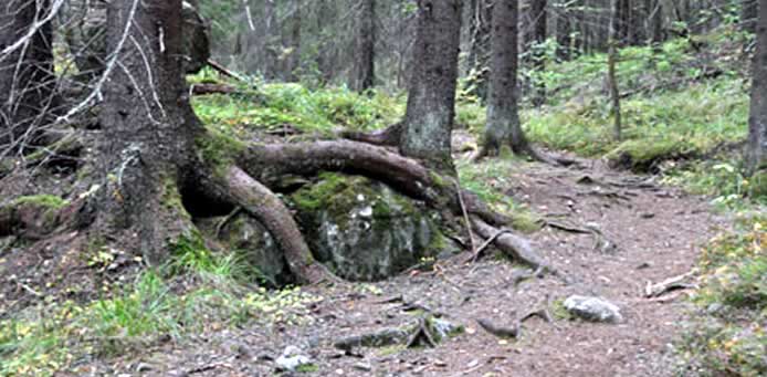 vaaruvuori-retkeily-hiking